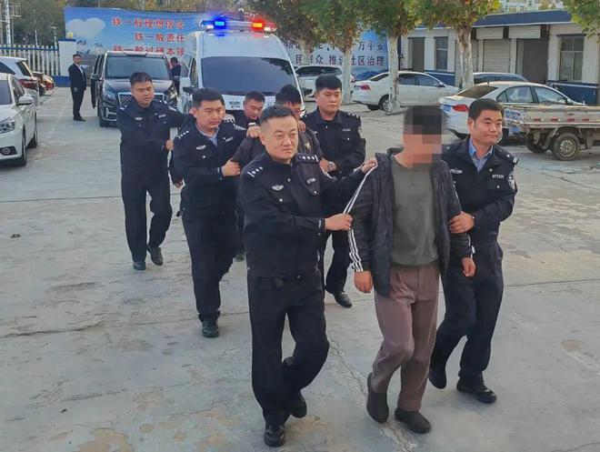 新沂命案背后的温情纽带，日常故事揭秘