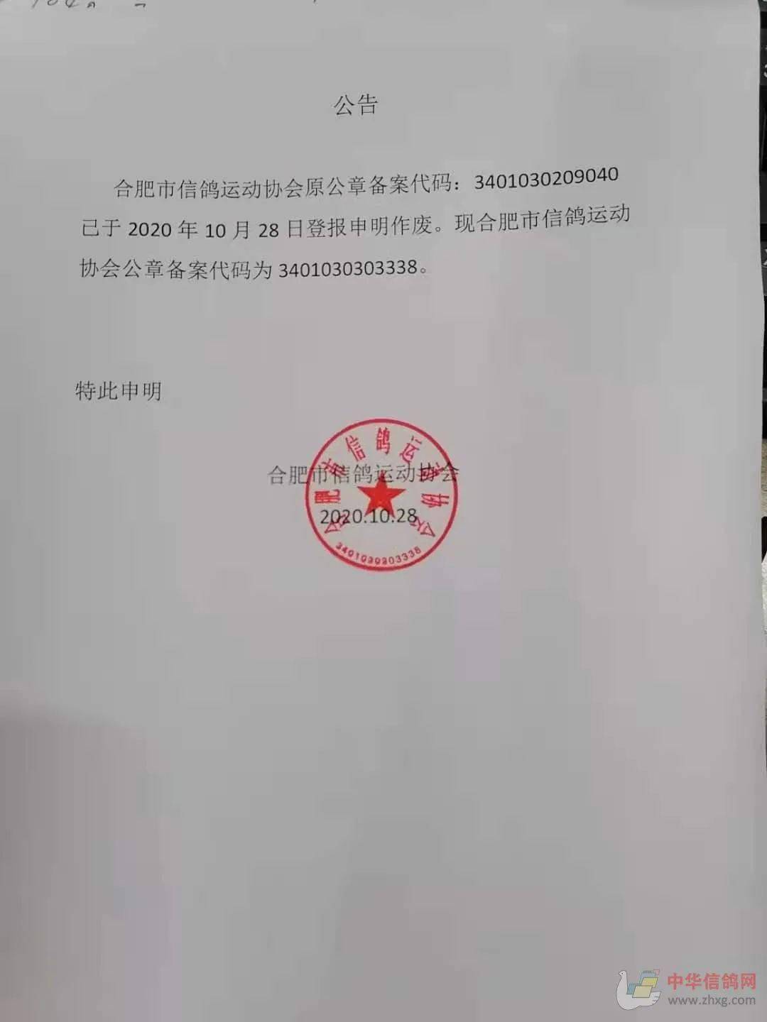 通辽信鸽协会最新公告，自信翱翔，成就梦想天空！