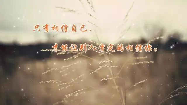 时代的印记与心灵的回响，精选心情短语与人生感悟回顾