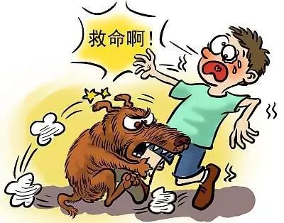 疫情最新伟人,疫情最新伟人，学习、变化与信心的力量