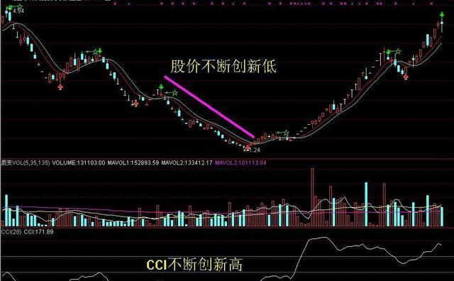 深度解析，全面洞察002831股市行情