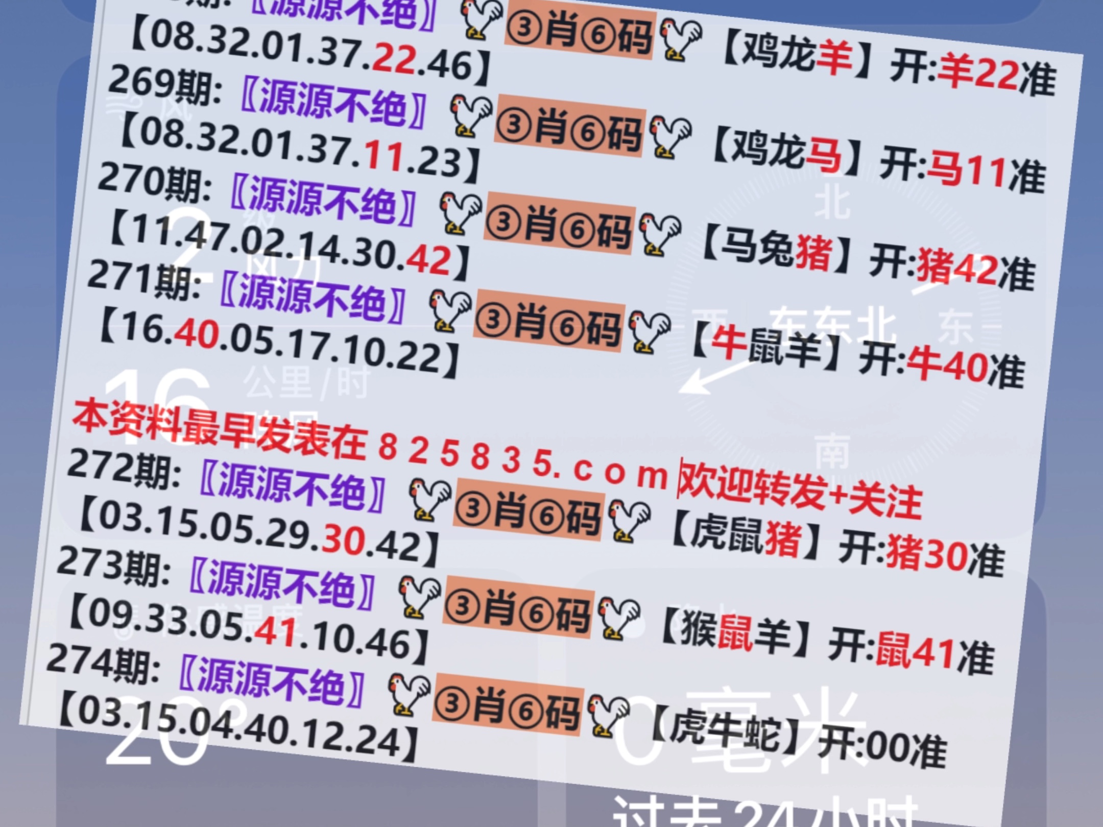 澳门王中王100%的资料2024年,全身心解答具体_解密版86.486