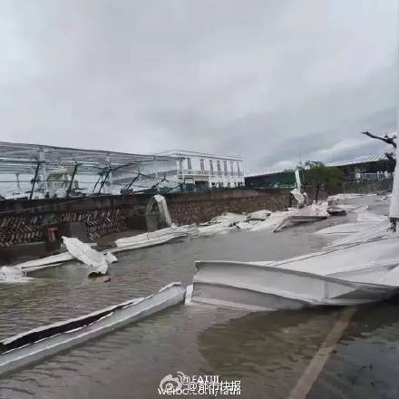 温州台风最新动态，与自然的约会中探寻内心的宁静（2017年）