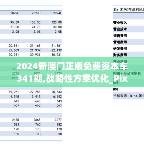 ＂2024新澳门正版免费资本车＂的：决策支持方案_装饰版8.43