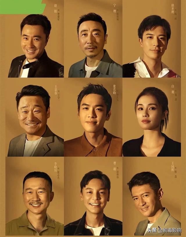 搭档演员表深度解析，角色与演技的探究