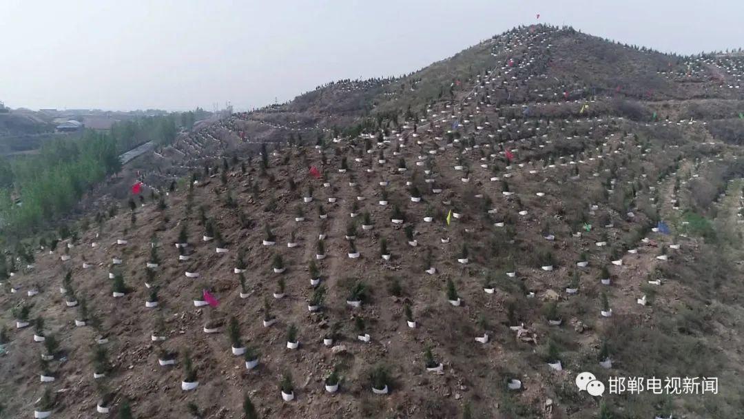 邯郸市永年区最新城市规划，探索自然美景的旅程