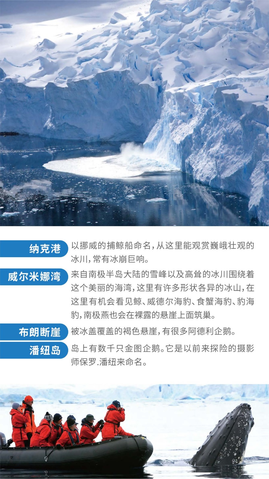 南极旅游价格表详解与步骤指南