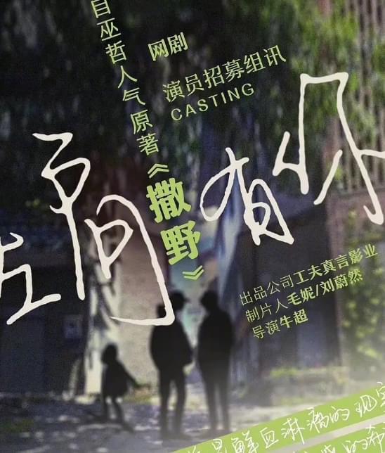 撒野电视剧,撒野电视剧，制作与观赏的全步骤指南