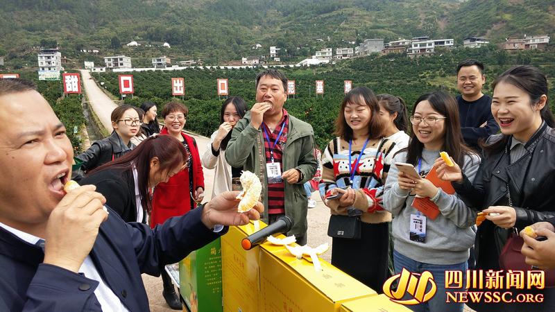 古蔺马蹄乡最新动态，小巷特色小店展现独特魅力