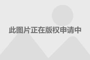 傅艺伟演的电视剧,傅艺伟演的电视剧，经典角色的魅力解析