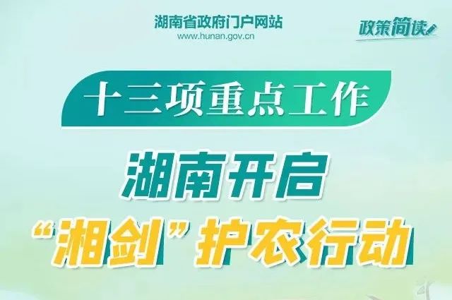 莱阳最新司机职位招聘,莱阳最新司机职位招聘，科技驱动，驾驭未来