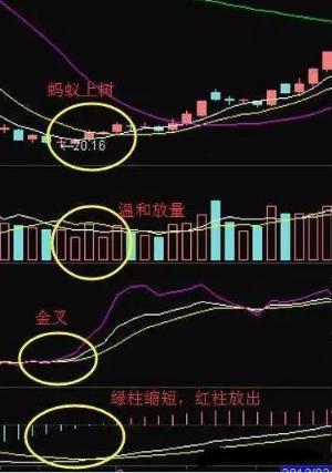 股市中的颜色信号解读，股票红色与绿色的含义与策略应对