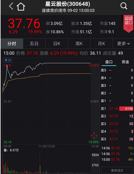 星云股份股票动态,星云股份股票动态，股市中的小涟漪与人生的温馨港湾