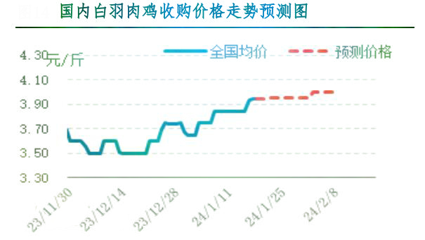 鸡肉最新价格概览及分析报告