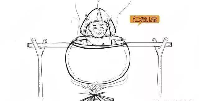 动漫子宫，探索二次元世界的奇妙之旅！