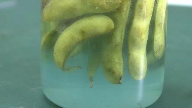 烧杯新款上市，科技与时尚的完美融合！