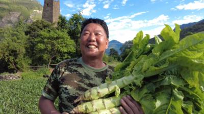 内蒙古土豆价格行情详解，如何获取并分析土豆价格信息