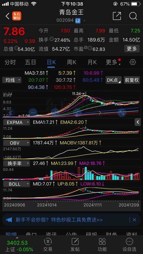关于青岛金王股票（股票代码，002094）的深入探讨