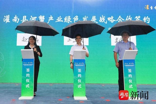 灌南资讯速递，详细步骤指南与最新资讯更新