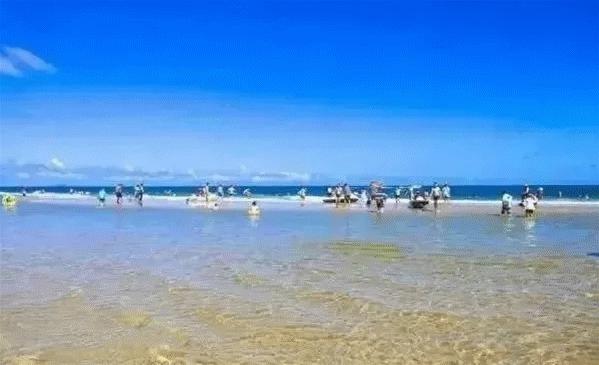 阳江最新资讯全面解析，观点阐述与分析
