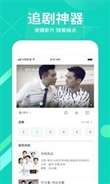 探索小巷深处的隐藏宝藏，最新视频免费网站与特色小店的惊喜之旅