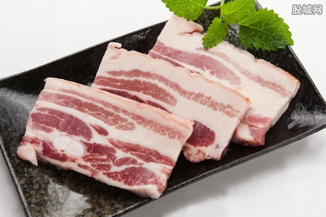 最新猪肉价格查询与理解，详细步骤指南及价格走势解析