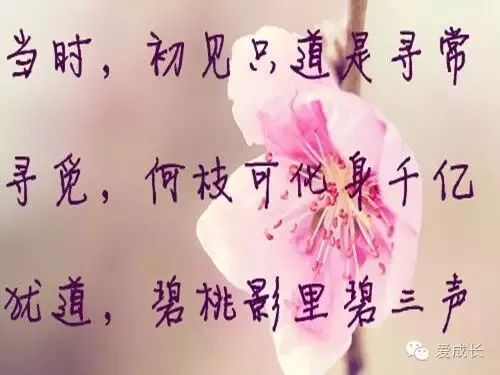 建筑装修装饰工程 第44页