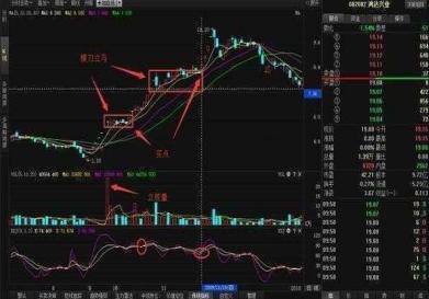 鸿达兴业股票深度解析与未来投资前景展望