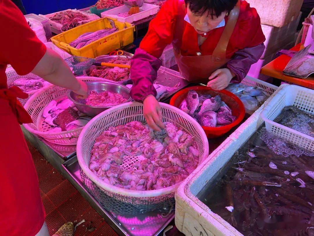 青岛海鲜价格动态揭秘，小巷深处的海鲜秘境探索