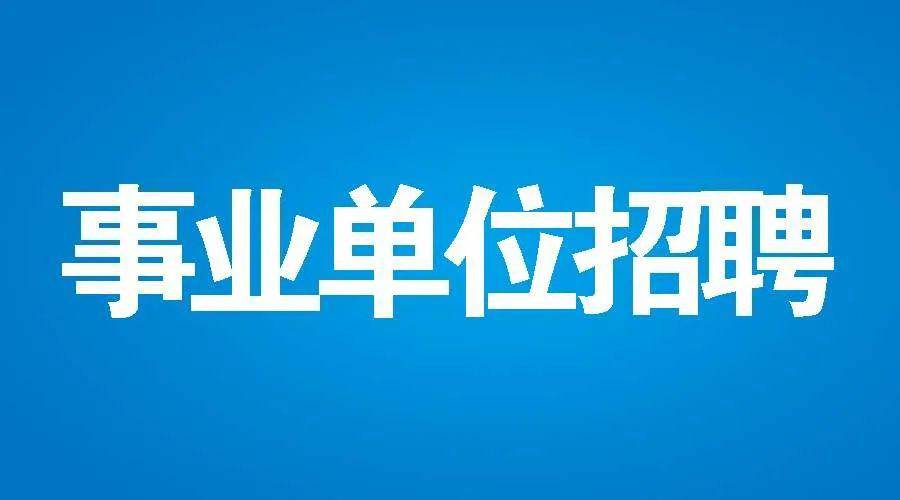 大邑最新科技职位招聘，科技革新引领未来职场新纪元
