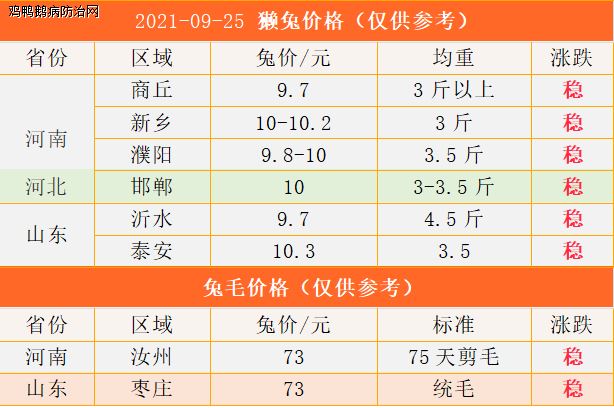 今日兔毛价格行情分析，最新市场动态与趋势观察