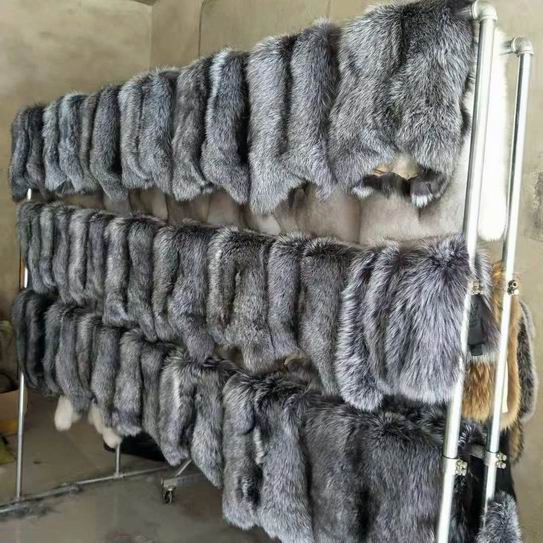 白狐狸皮价格行情解析及最新市场动态