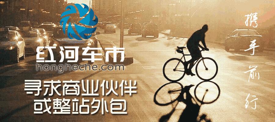 最新油品价格调整信息，共同应对机遇与挑战的变革之路