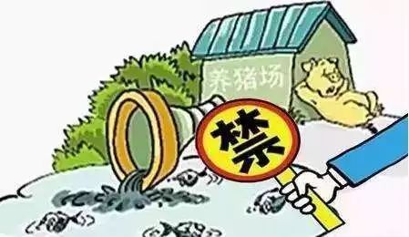 诸城宠物禁养新动态，城市宠物管理的变革及其影响