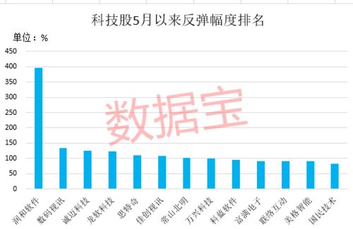 科技类股票的独特地位，探寻其在时代浪潮中的发展之路。