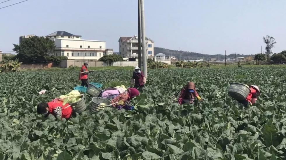 福清最新疫情动态，学习带来的自信与成就感，变化中的力量