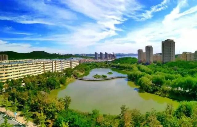 大连最新公告与学习变革，自信塑造未来之路