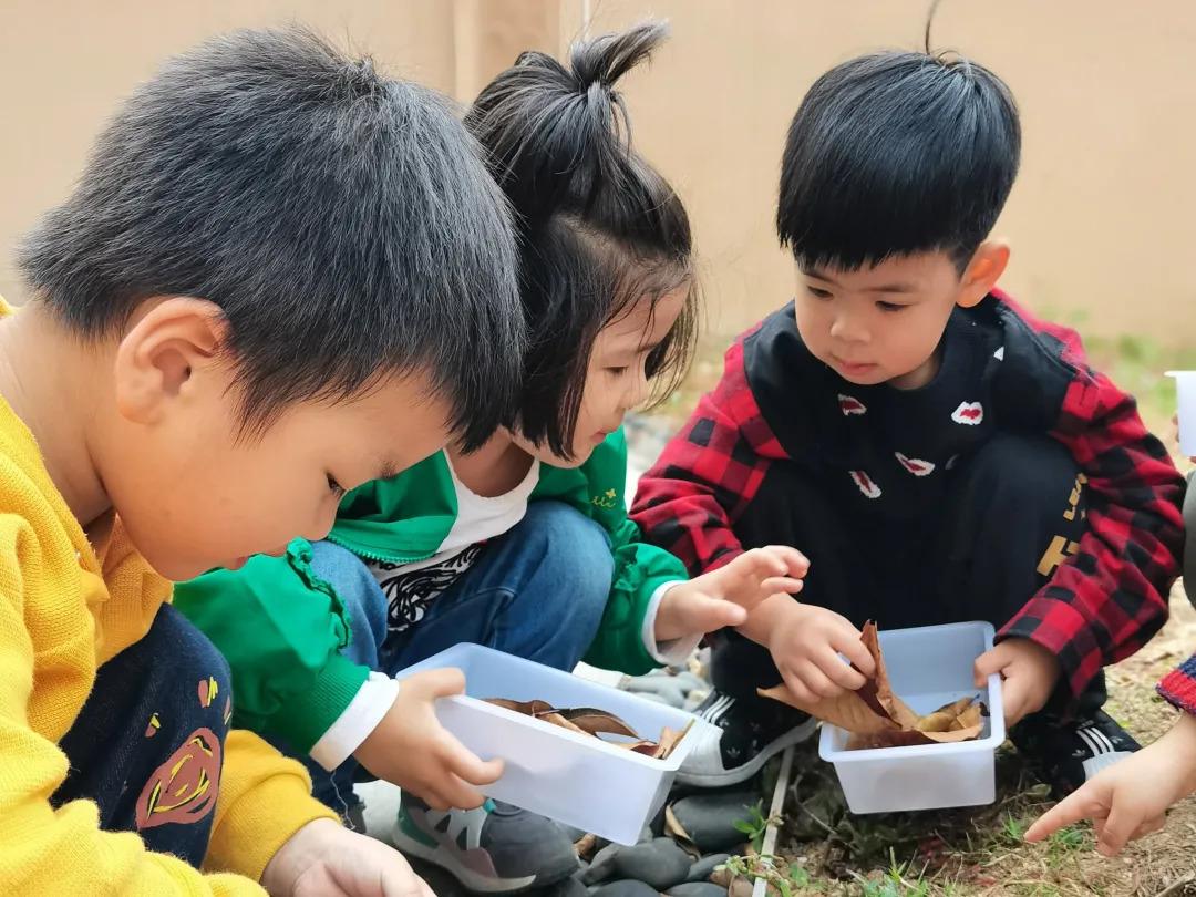 温岭湖畔壹号最新价格深度分析与观点阐述，房价走势揭秘！
