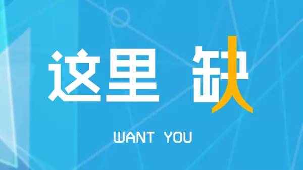 湟里最新招聘信息，变化中的自信源泉，学习与未来铸就之路