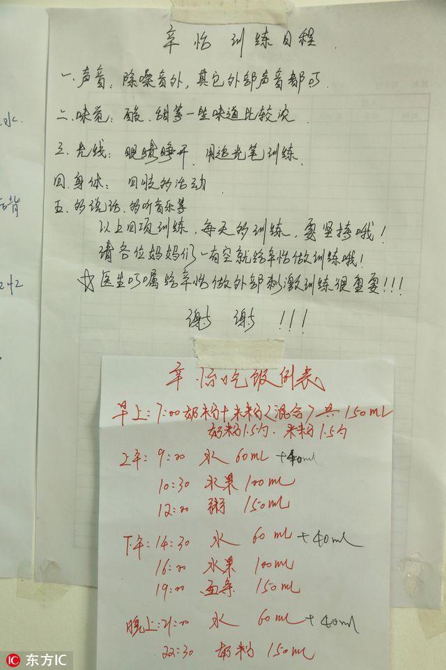 辛怡康复日记最新动态，自然之旅的心灵觉醒之旅
